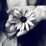 تکست پاپ رایگان عاشقانه زودگذر