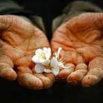 تکست رپ رایگان به نام مرد خونه