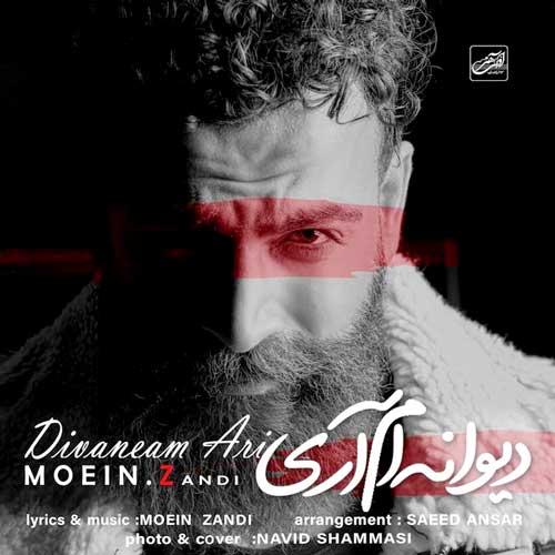 متن آهنگ دیوانه ام آری معین زد