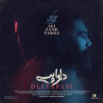 متن آهنگ دلواپسی علی زند وکیلی