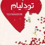 تکست رپ دلنوشت تودلیام