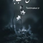 تکست پاپ گل شب بو
